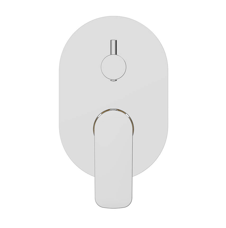 Concealed Shower Valve