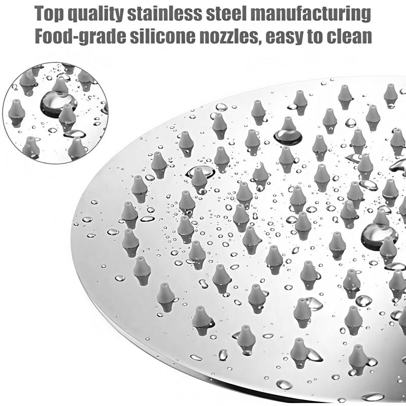 Rain Shower Head