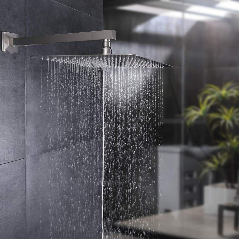 Shower Arm
